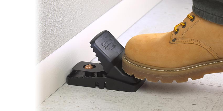 Trapper T-Rex Rat Trap - Image 4