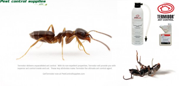 pestcontrolsupplies.com