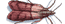 pestcontrolsupplies.com