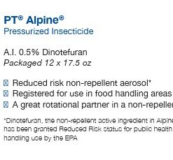 Alternative view of PT Alpine Foam