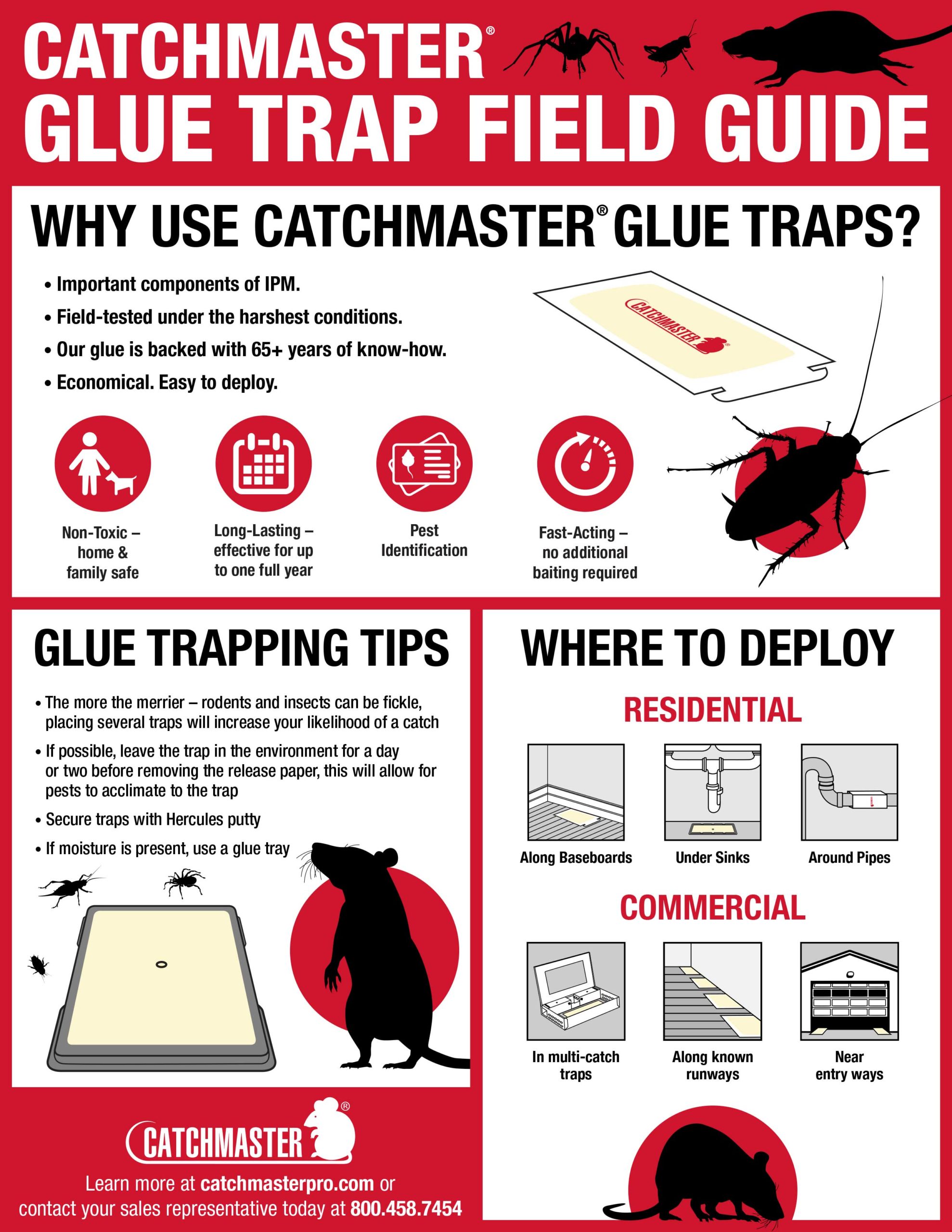 How To Use Mouse Glueboards Catchmaster 72mb 