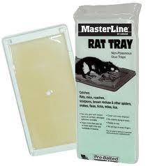 Adhesive Traps - Rodent