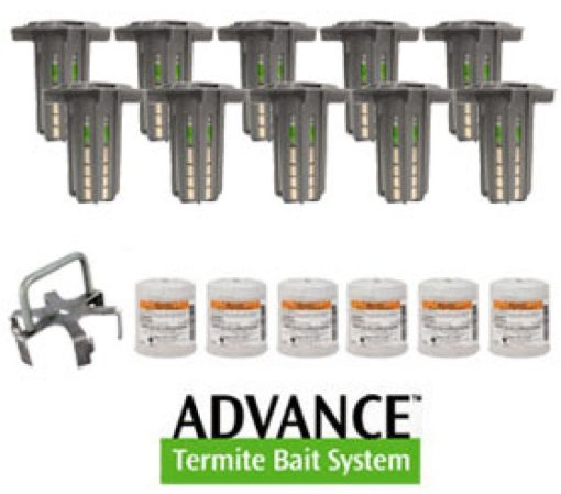 advance termite kit
