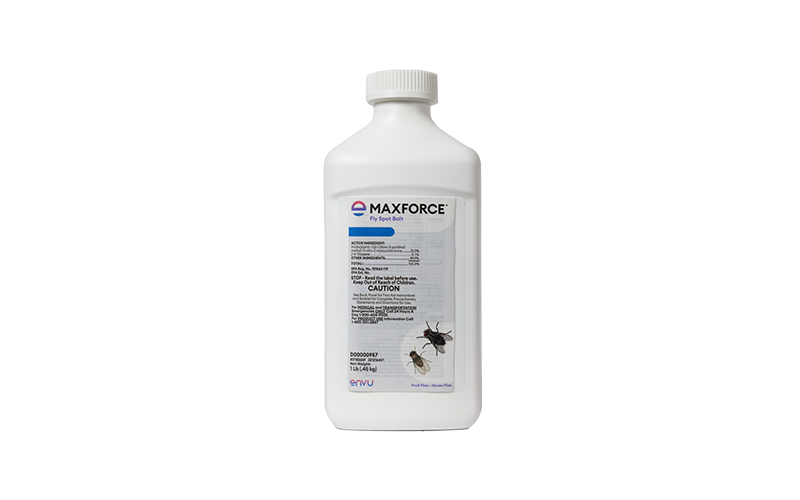 Maxforce Fly Spot Bait 1lb