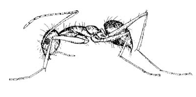 pestcontrolsupplies.com