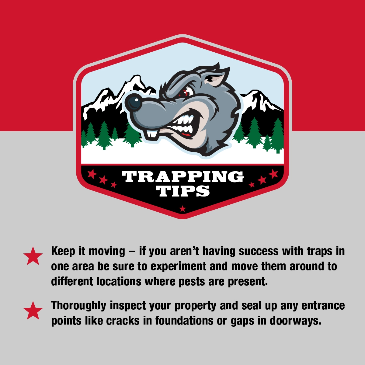 https://pestcontrolsupplies.com/wp-content/uploads/2022/03/607-Pro-Trapping-Tips.webp