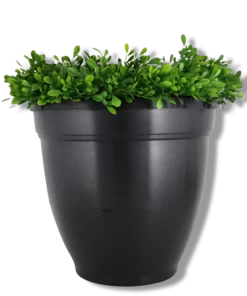 Ovi-Planter Mosquito Trap- Catchmaster