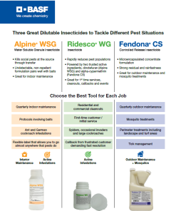 Alternative view of Fendona CS 1 Pt.