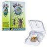Bug Bar insect bait station