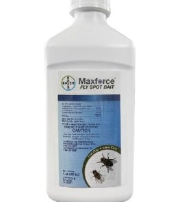 Maxforce Fly Spot Bait 1 lb