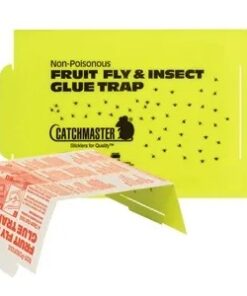 Catchmaster Fruit Fly & Insect Glueboards